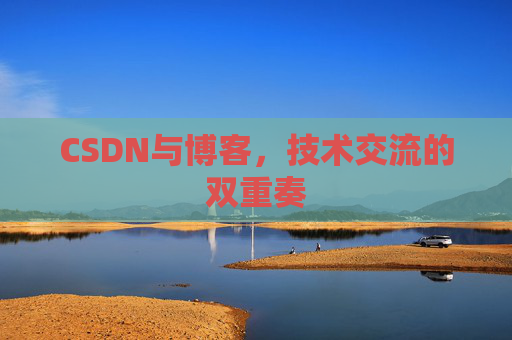 CSDN与博客，技术交流的双重奏